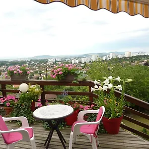 Appartement Joli Petit Sur Les Côtes De Cébazat/clermont Ferrand